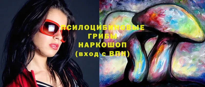 Псилоцибиновые грибы Magic Shrooms  Тулун 